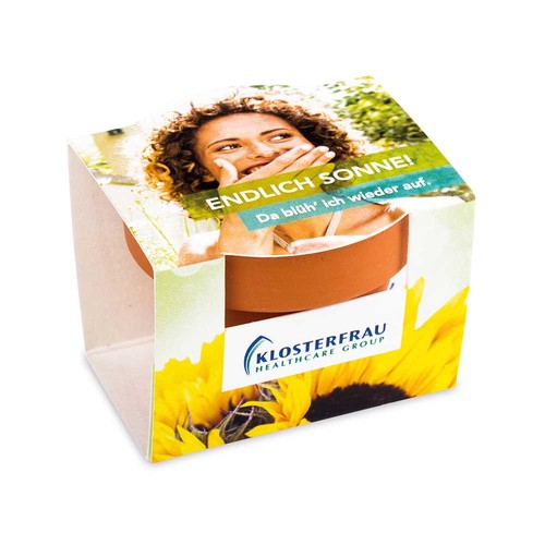 Mini pot terre cuite, fourreau complet - Piment