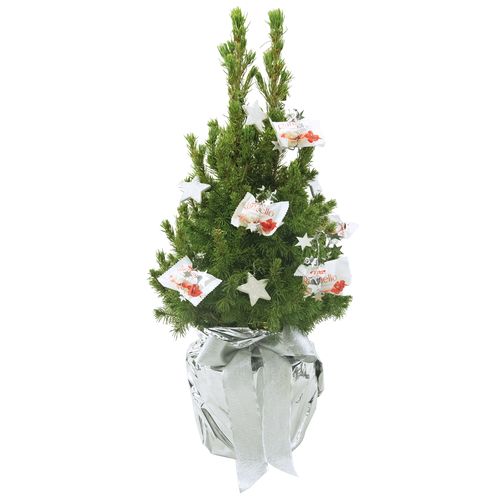 Crystal Tree 35-45 cm Crystal Tree 35-45 cm