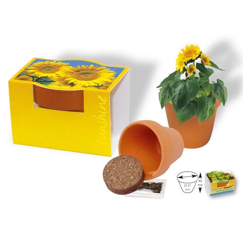 Pot en terre cuite Mini Tournesol