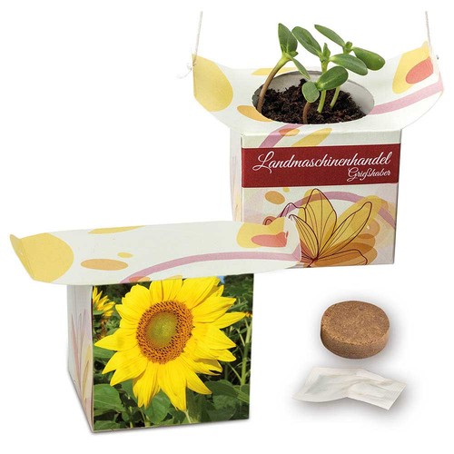 Pot suspendu - Tournesol