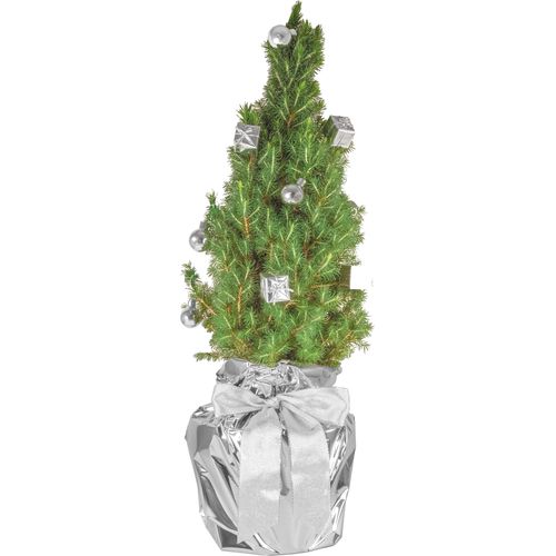 Silver Shine Tree 35-45 cm Silver Shine Tree 35-45 cm