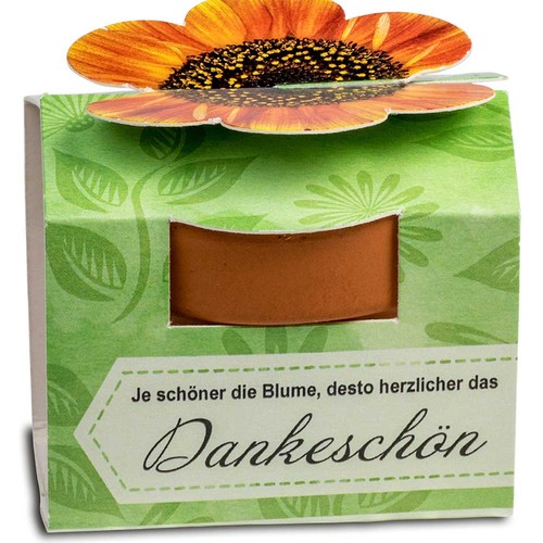 erbe aromatiche
