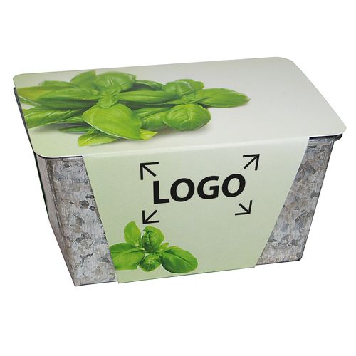 aromatyczne zioła