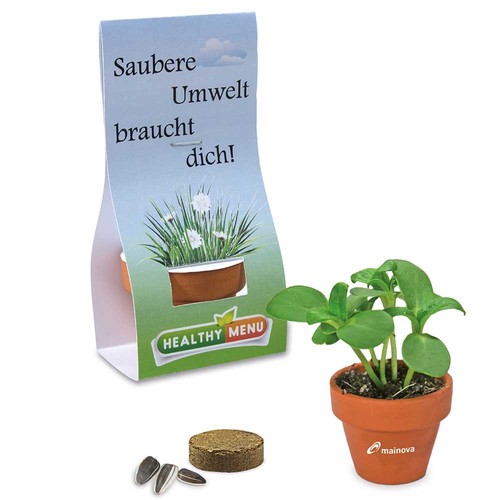 Logo-Töpfchen Überreichverpackung mit Samen - Sommerblumenmischung Logo-Töpfchen Überreichverpackung mit Samen - Sommerblumenmischung