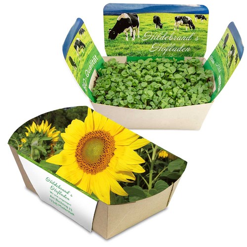 Jardinodrome avec graines - Tournesol Jardinodrome avec graines - Tournesol