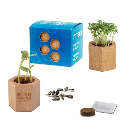 Houten plantenset Hexagon met zaden - Basilicum