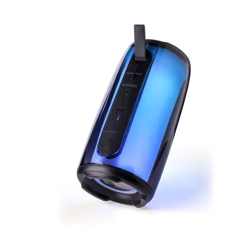 ABS outdoor speaker Lynette