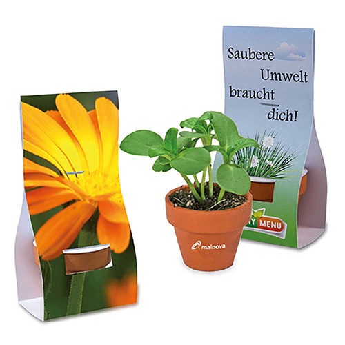 Mini pot terre cuite sous pochette - Souci Mini pot terre cuite sous pochette - Souci