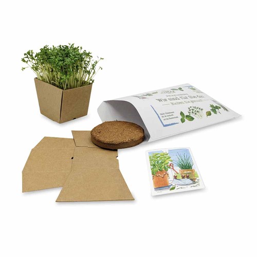 "Make-a-Wish" Seed Planting Kit - (recycled paper) Cress