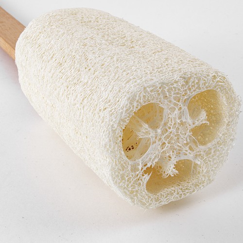 SPONGE LOOFAH SPONGE LOOFAH