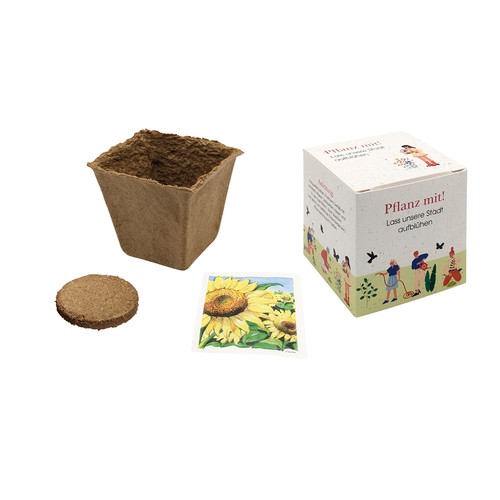 Cube-plantset (groot) - Zomerbloemenmengsel