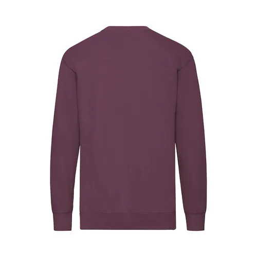 bluza