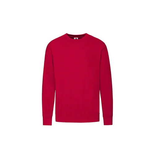 bluza