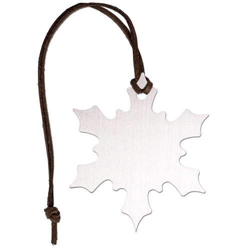 Casse-noix - cristal de glace dans un sac de violoncelle