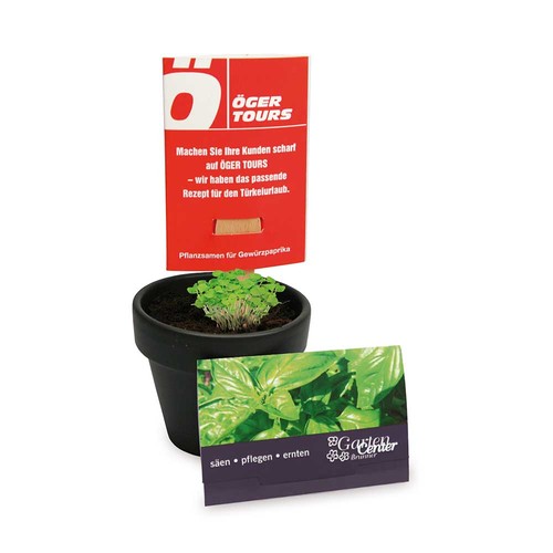 erbe aromatiche erbe aromatiche