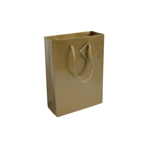 157 g/m2 laminated paper shopping bag with gusset and bottom reinforcement, string handles 157 g/m2 laminated paper shopping bag with gusset and bottom reinforcement, string handles