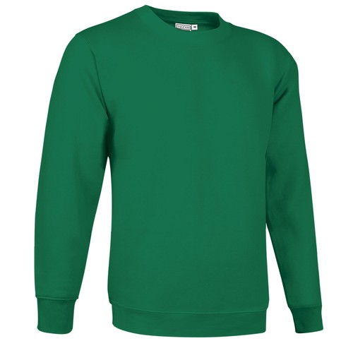 bluza