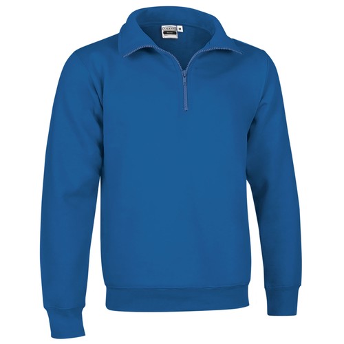 bluza