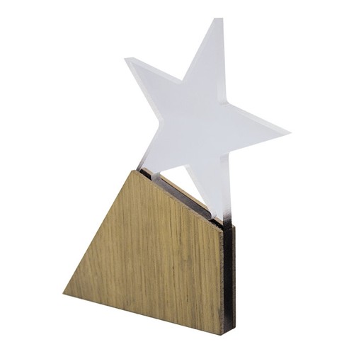 ACRYLIC TROPHY 8MM 14X20CM CUSTOMIZABLE WOOD FINISH ACRYLIC TROPHY 8MM 14X20CM CUSTOMIZABLE WOOD FINISH