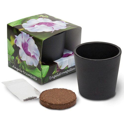 Growing kit - Ceramic pot (personalised)