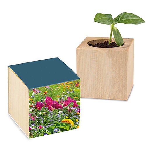 Houten plantenset met zaden - Zomerbloemen mix Houten plantenset met zaden - Zomerbloemen mix