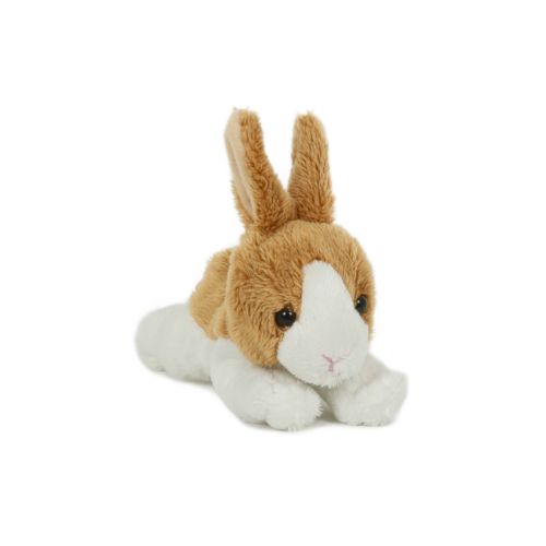 Peluche