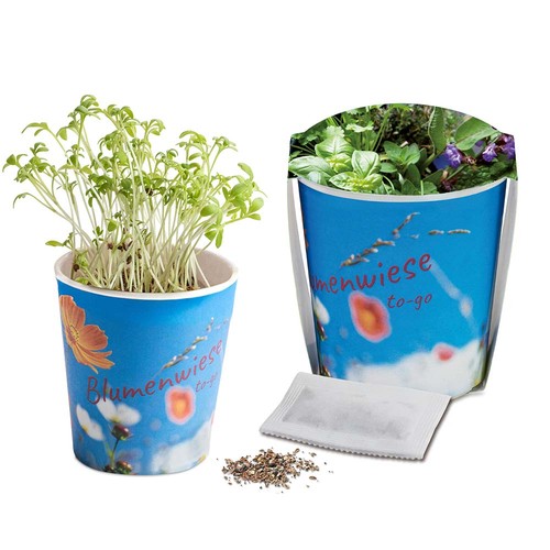 Blumenwiese To-Go - Kräutermischung - Druck individuell 4/0-c Blumenwiese To-Go - Kräutermischung - Druck individuell 4/0-c