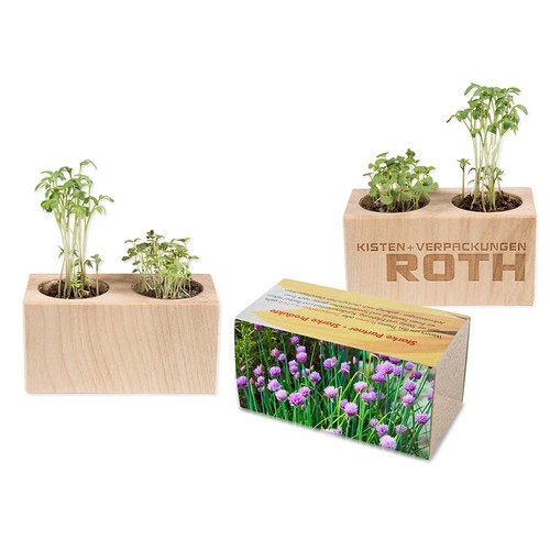 Pflanz-Holz 2er Set mit Samen - Schnittlauch Pflanz-Holz 2er Set mit Samen - Schnittlauch