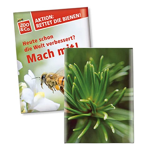 Zaadzakjes standaard papier - Spar