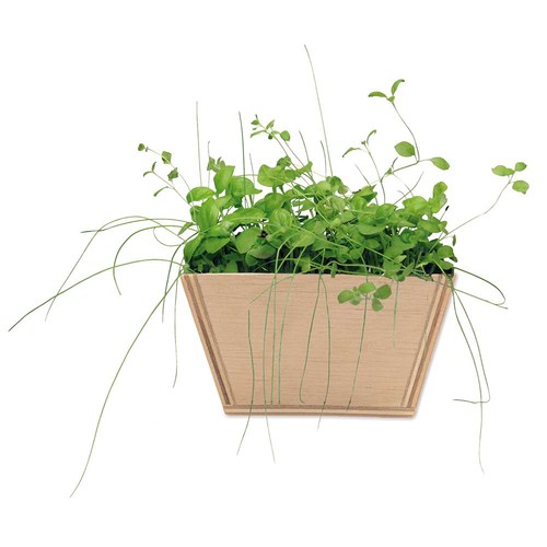 Mini-jardinière bois avec graines - Piment