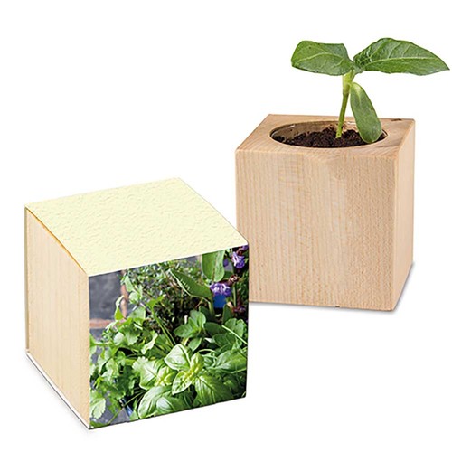 Houten plantenset - Kruidenmix