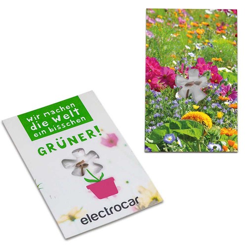 Carte avec graines-mini fleur - Mélange de fleurs d'été Carte avec graines-mini fleur - Mélange de fleurs d'été