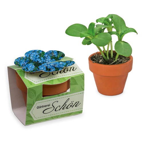 Mini pot terre cuite en fourreau fleur avec graines - Myosotis Mini pot terre cuite en fourreau fleur avec graines - Myosotis