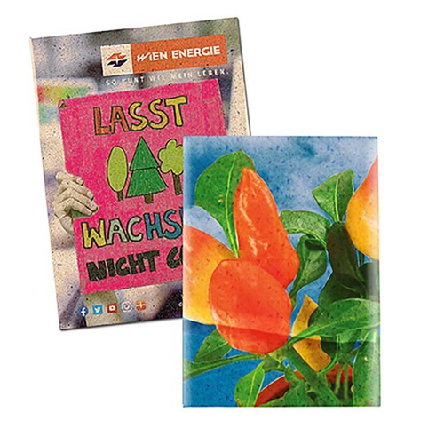 Zaadzakjes standaard papier - Graspapier - Paprika Zaadzakjes standaard papier - Graspapier - Paprika