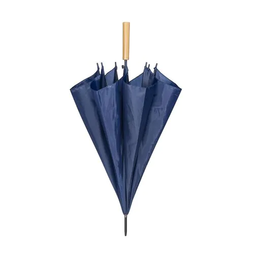 parasol