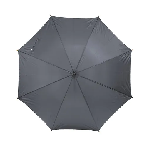 parasol
