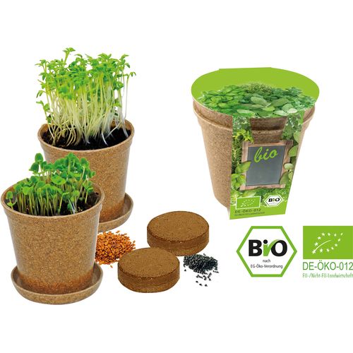 aromatische kruiden aromatische kruiden