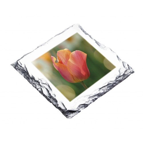 PIERRE CARRE´E SUBLIMATION  9x9 CM