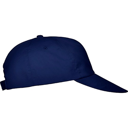 5 panels cap. BASICA