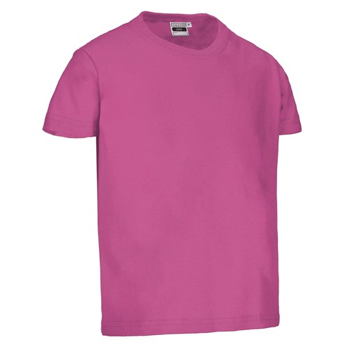 Camiseta infantil M/C DINO Camiseta infantil M/C DINO