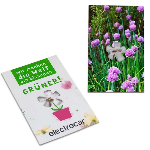 Seed-card-mini flower - chives Seed-card-mini flower - chives