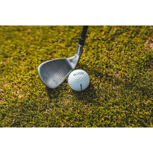 pelota de golf pelota de golf