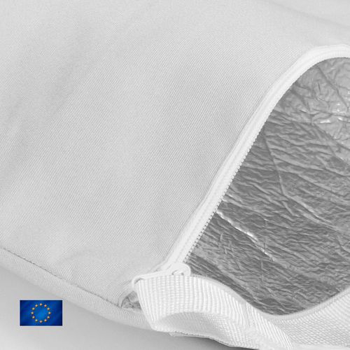 borsa da pranzo isolata borsa da pranzo isolata