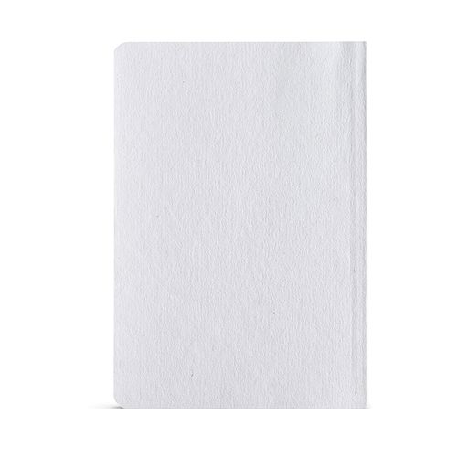 Verne Notebook