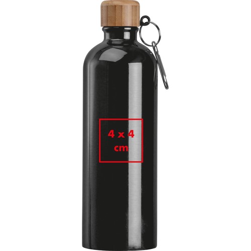 Gourde en acier inoxydable avec mousqueton, 750ml