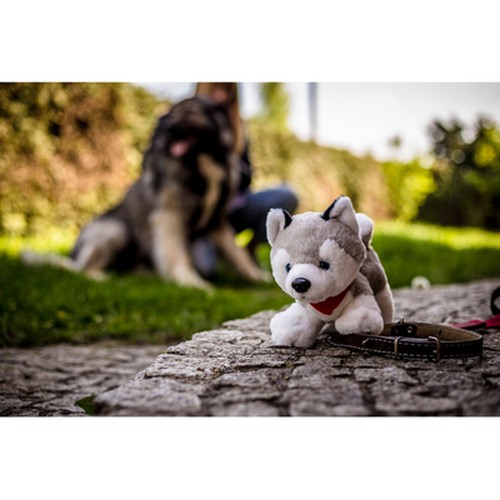 Plush husky | Trooper