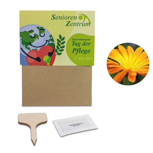 Ensemble de plantes - Lot de 3 - Souci / Ne m'oublie pas / Tournesol Ensemble de plantes - Lot de 3 - Souci / Ne m'oublie pas / Tournesol