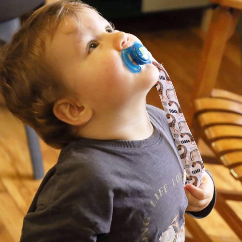 CUSTOMIZABLE PACIFIER HOLDER