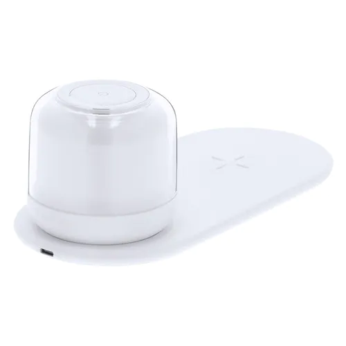 Charger Lamp Reginal Charger Lamp Reginal