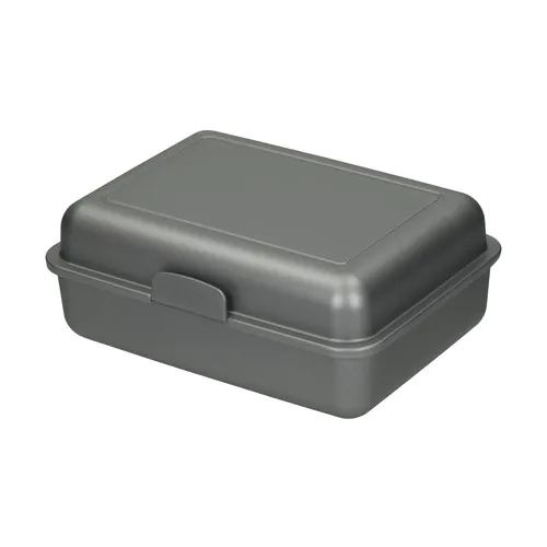 Lunch box "School box" large